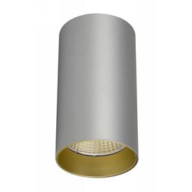 DL300108  Eos 20; 20W Silver & Gold Surface LED Spotlight 1480lm 25° 2700K IP20